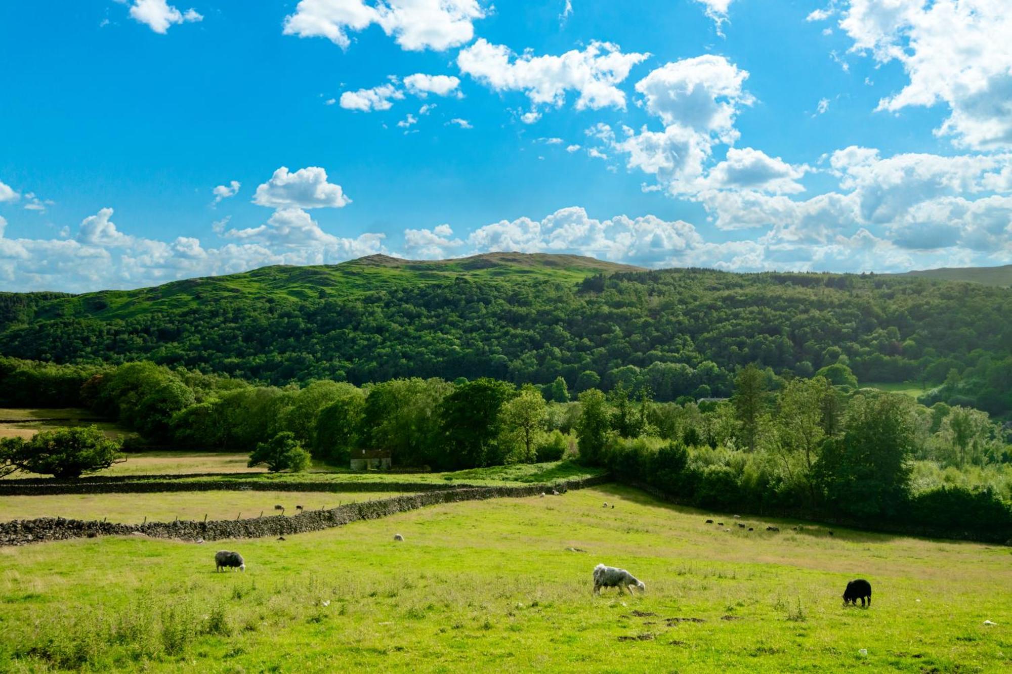 Bridge End Farm Cottages Boot Eksteriør bilde